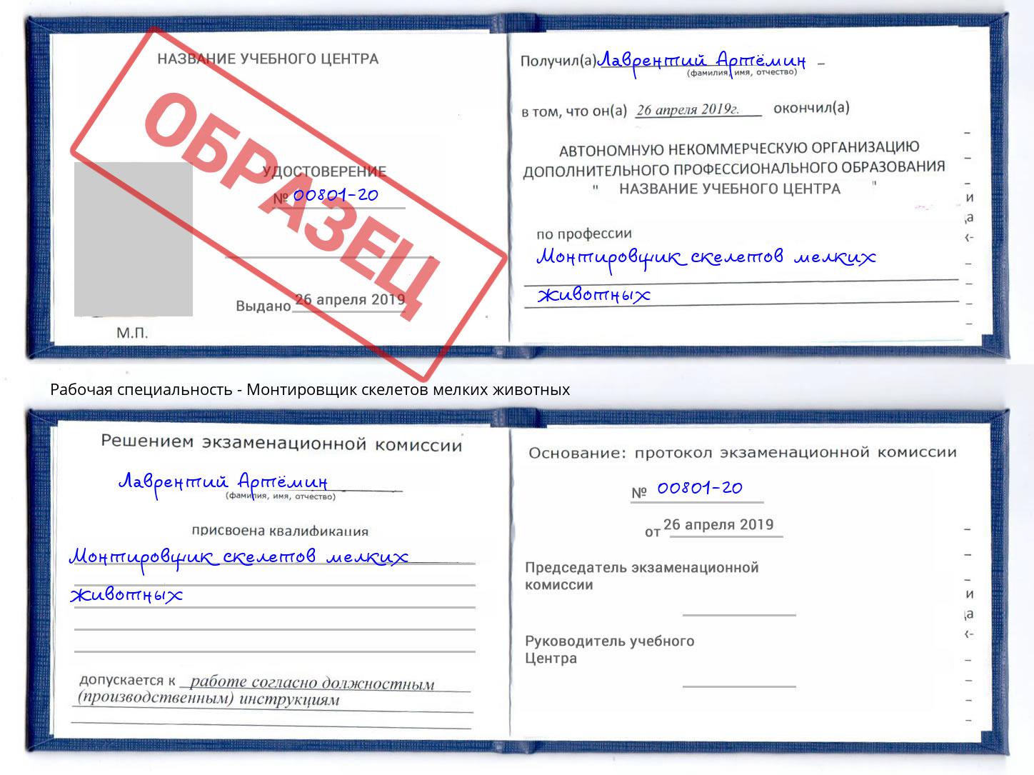 Монтировщик скелетов мелких животных Сорочинск