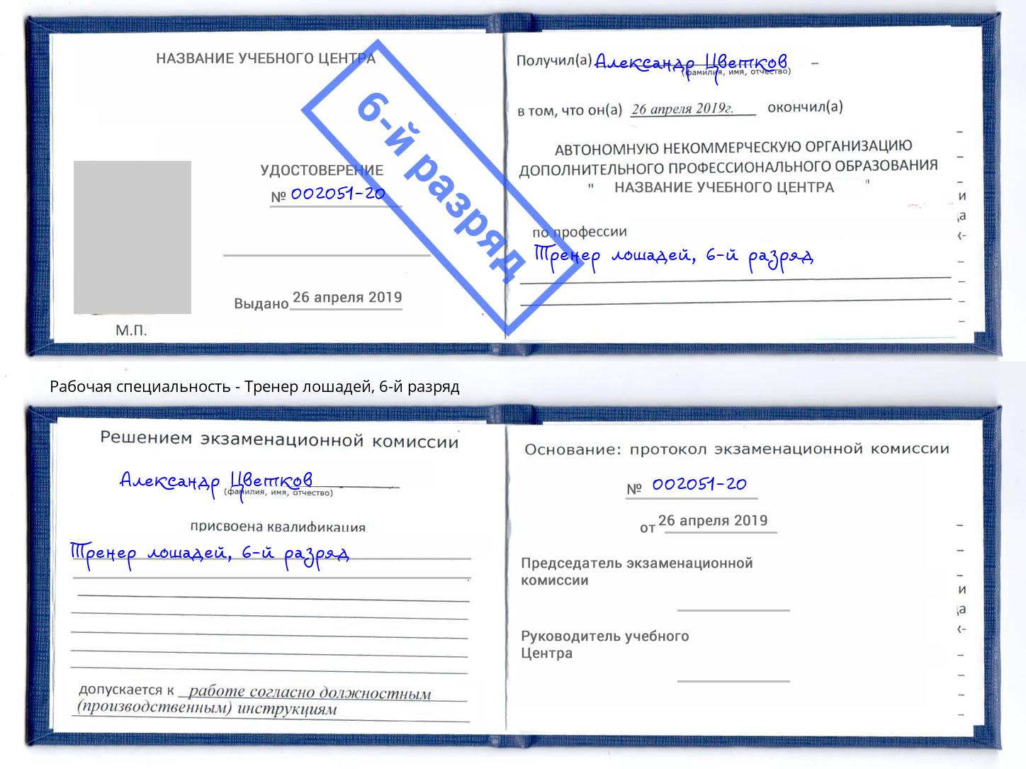 корочка 6-й разряд Тренер лошадей Сорочинск