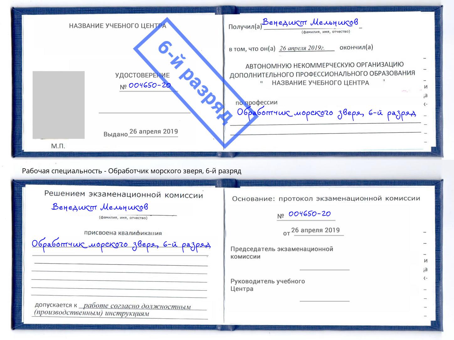 корочка 6-й разряд Обработчик морского зверя Сорочинск